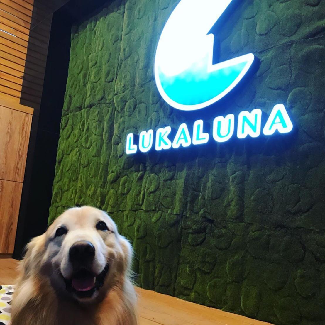 Luka Luna B&B Taitung Luaran gambar